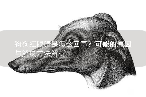 狗狗红眼睛是怎么回事？可能的原因与解决方法解析