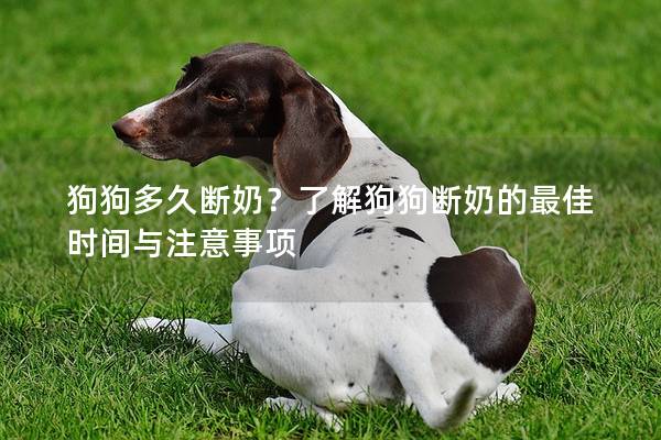 狗狗多久断奶？了解狗狗断奶的最佳时间与注意事项