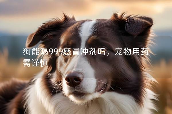 狗能喝999感冒冲剂吗，宠物用药需谨慎