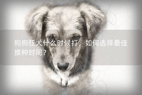 狗狗狂犬什么时候打，如何选择最佳接种时间？