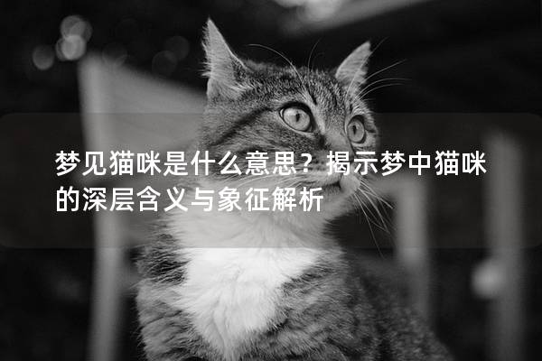 梦见猫咪是什么意思？揭示梦中猫咪的深层含义与象征解析