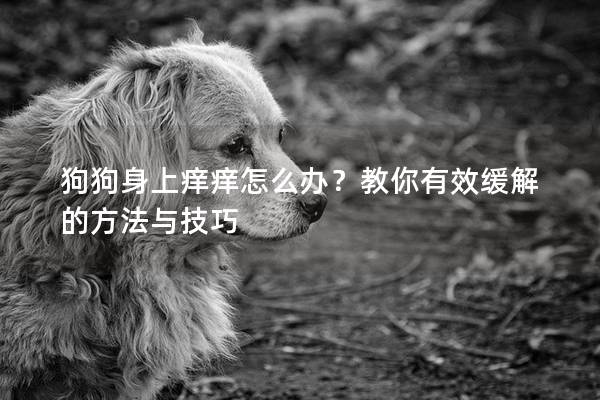 狗狗身上痒痒怎么办？教你有效缓解的方法与技巧