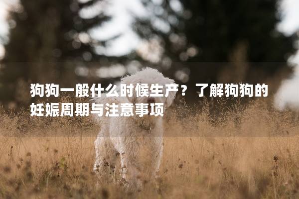 狗狗一般什么时候生产？了解狗狗的妊娠周期与注意事项