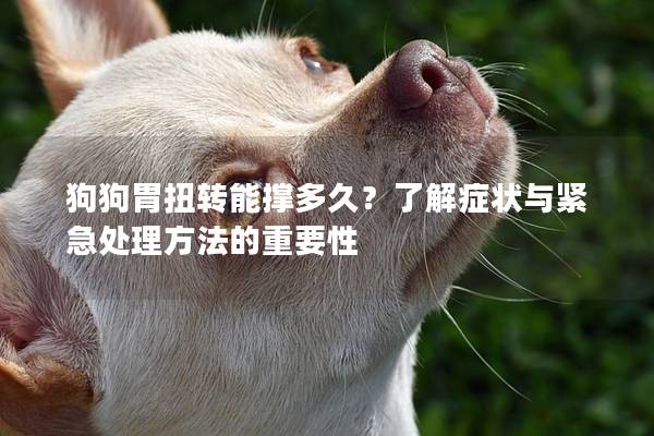 狗狗胃扭转能撑多久？了解症状与紧急处理方法的重要性