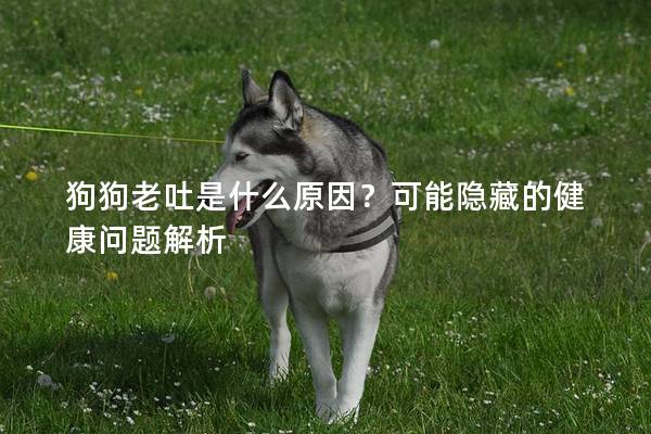 狗狗老吐是什么原因？可能隐藏的健康问题解析