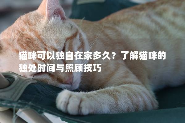 猫咪可以独自在家多久？了解猫咪的独处时间与照顾技巧