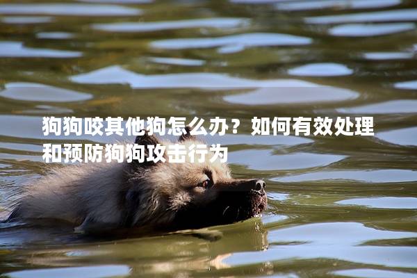 狗狗咬其他狗怎么办？如何有效处理和预防狗狗攻击行为