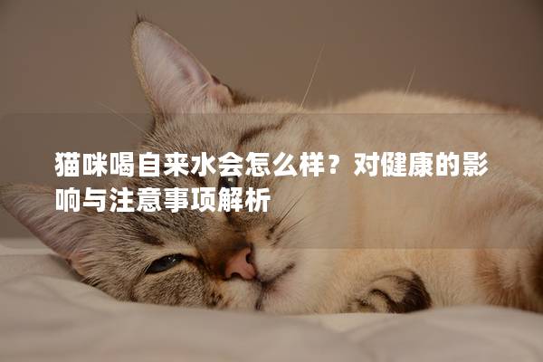 猫咪喝自来水会怎么样？对健康的影响与注意事项解析