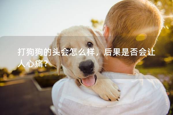 打狗狗的头会怎么样，后果是否会让人心痛？