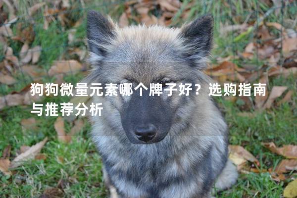 狗狗微量元素哪个牌子好？选购指南与推荐分析