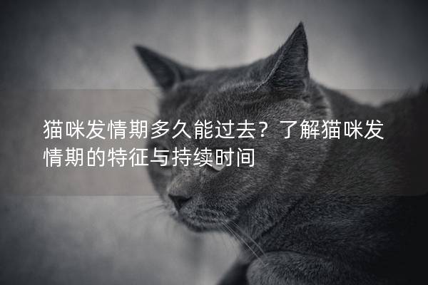 猫咪发情期多久能过去？了解猫咪发情期的特征与持续时间