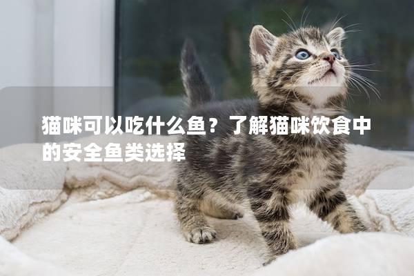 猫咪可以吃什么鱼？了解猫咪饮食中的安全鱼类选择