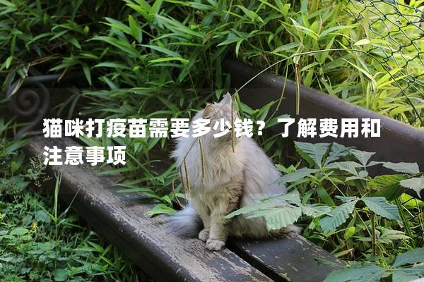 猫咪打疫苗需要多少钱？了解费用和注意事项