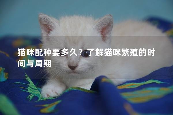 猫咪配种要多久？了解猫咪繁殖的时间与周期