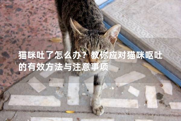 猫咪吐了怎么办？教你应对猫咪呕吐的有效方法与注意事项