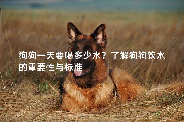 狗狗一天要喝多少水？了解狗狗饮水的重要性与标准