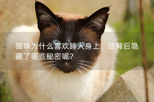 猫咪为什么喜欢睡人身上，这背后隐藏了哪些秘密呢？