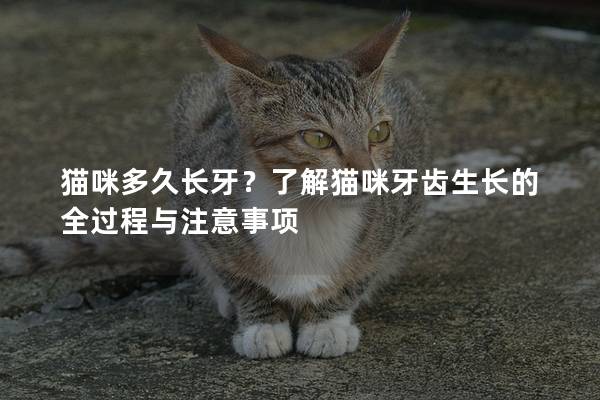 猫咪多久长牙？了解猫咪牙齿生长的全过程与注意事项