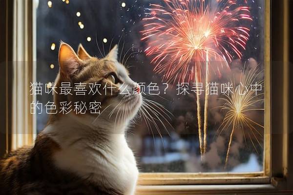 猫咪最喜欢什么颜色？探寻猫咪心中的色彩秘密