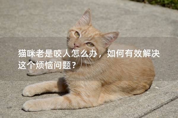 猫咪老是咬人怎么办，如何有效解决这个烦恼问题？