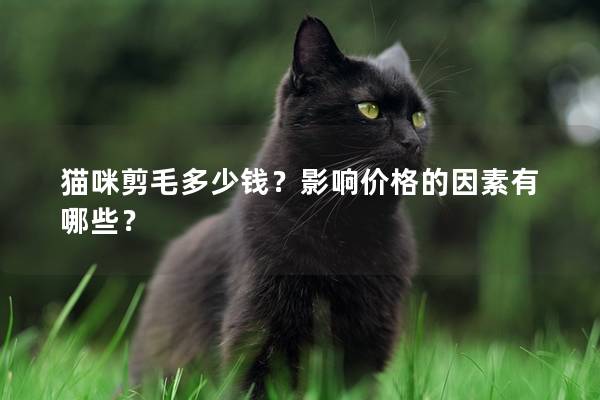 猫咪剪毛多少钱？影响价格的因素有哪些？