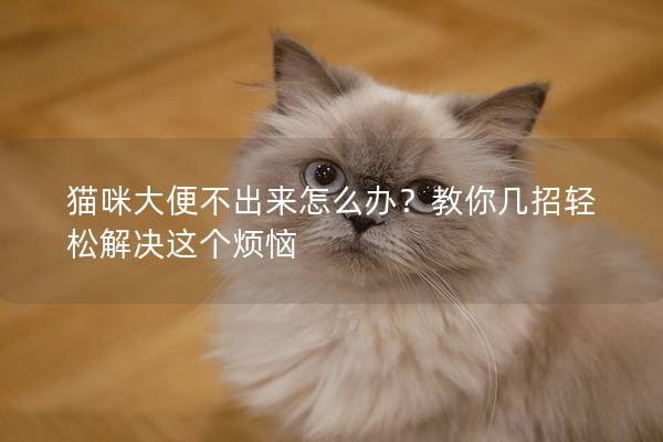 猫咪大便不出来怎么办？教你几招轻松解决这个烦恼