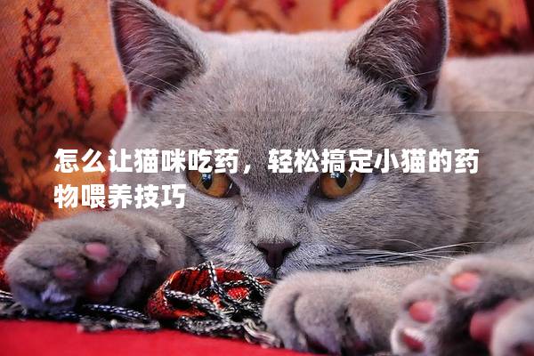 怎么让猫咪吃药，轻松搞定小猫的药物喂养技巧