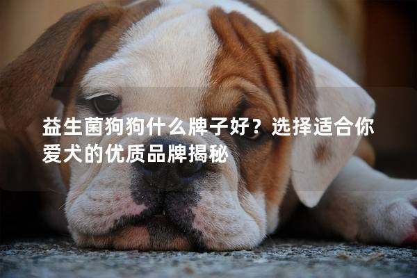 益生菌狗狗什么牌子好？选择适合你爱犬的优质品牌揭秘