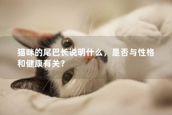 猫咪的尾巴长说明什么，是否与性格和健康有关？