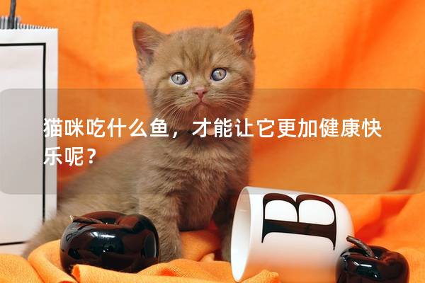 猫咪吃什么鱼，才能让它更加健康快乐呢？