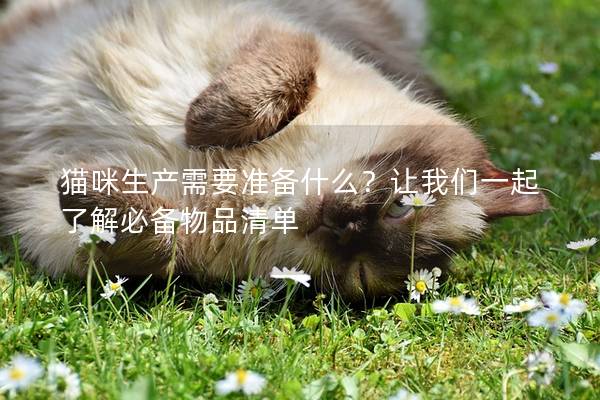 猫咪生产需要准备什么？让我们一起了解必备物品清单