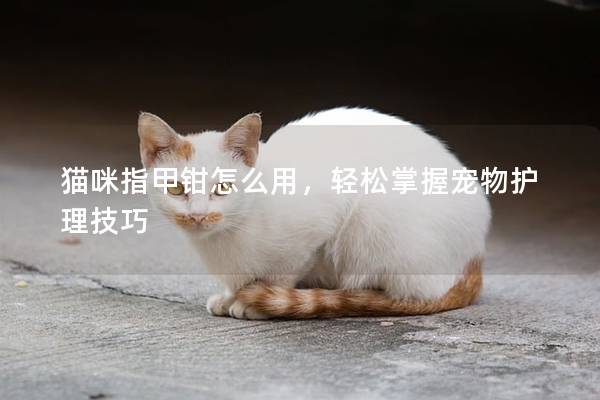 猫咪指甲钳怎么用，轻松掌握宠物护理技巧