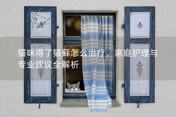 猫咪得了猫藓怎么治疗，家庭护理与专业建议全解析