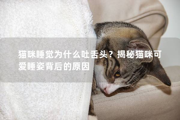 猫咪睡觉为什么吐舌头？揭秘猫咪可爱睡姿背后的原因