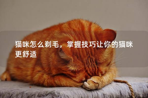 猫咪怎么剃毛，掌握技巧让你的猫咪更舒适