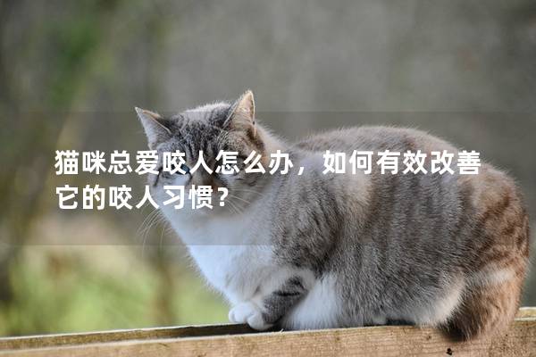 猫咪总爱咬人怎么办，如何有效改善它的咬人习惯？