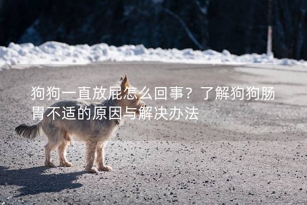 狗狗一直放屁怎么回事？了解狗狗肠胃不适的原因与解决办法