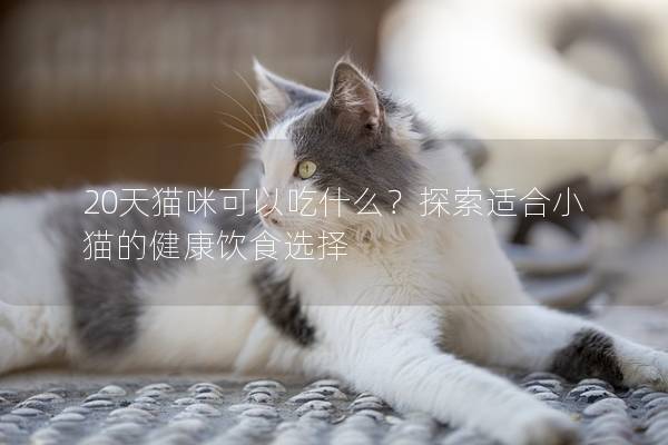 20天猫咪可以吃什么？探索适合小猫的健康饮食选择