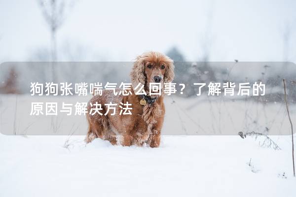 狗狗张嘴喘气怎么回事？了解背后的原因与解决方法