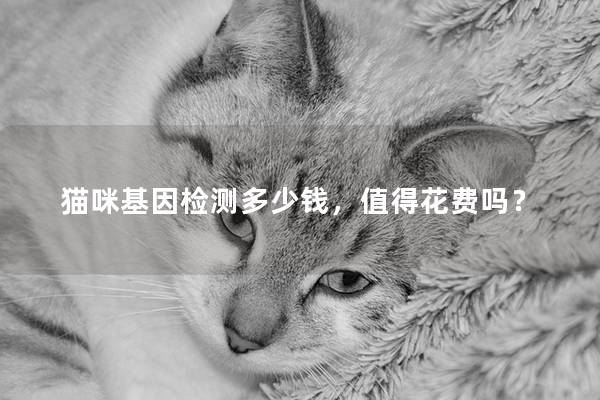 猫咪基因检测多少钱，值得花费吗？