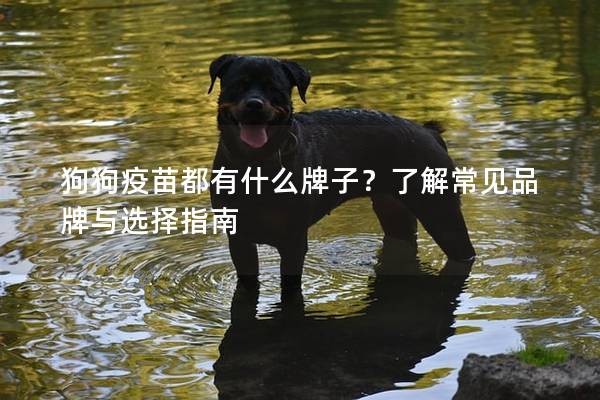 狗狗疫苗都有什么牌子？了解常见品牌与选择指南