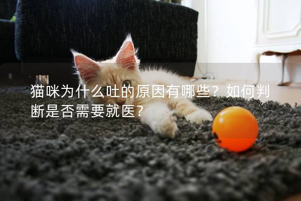 猫咪为什么吐的原因有哪些？如何判断是否需要就医？