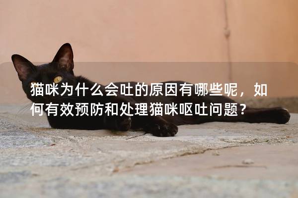 猫咪为什么会吐的原因有哪些呢，如何有效预防和处理猫咪呕吐问题？