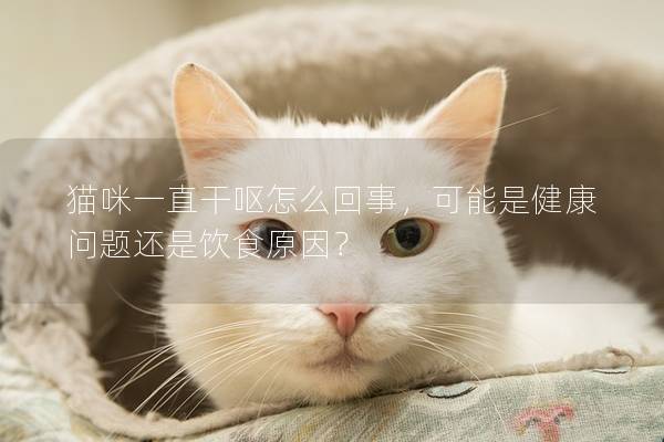 猫咪一直干呕怎么回事，可能是健康问题还是饮食原因？