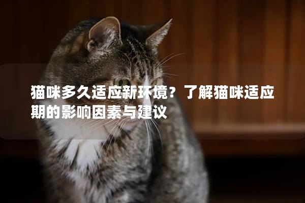 猫咪多久适应新环境？了解猫咪适应期的影响因素与建议