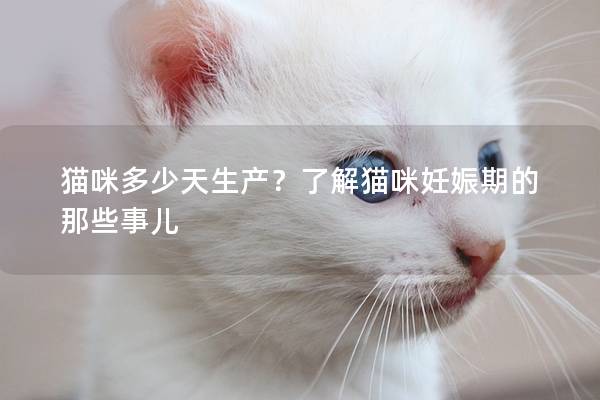 猫咪多少天生产？了解猫咪妊娠期的那些事儿