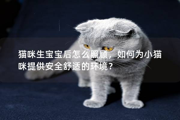 猫咪生宝宝后怎么照顾，如何为小猫咪提供安全舒适的环境？