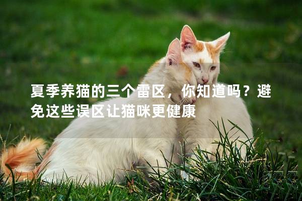 夏季养猫的三个雷区，你知道吗？避免这些误区让猫咪更健康