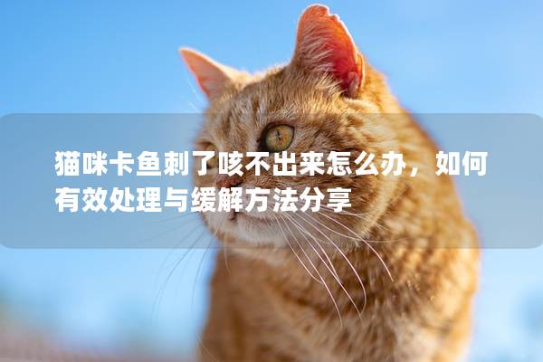 猫咪卡鱼刺了咳不出来怎么办，如何有效处理与缓解方法分享