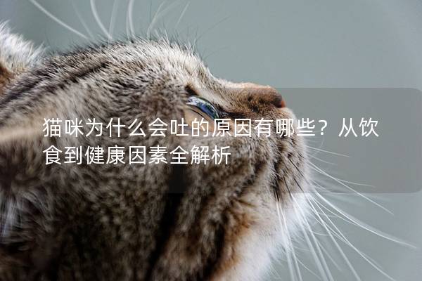 猫咪为什么会吐的原因有哪些？从饮食到健康因素全解析